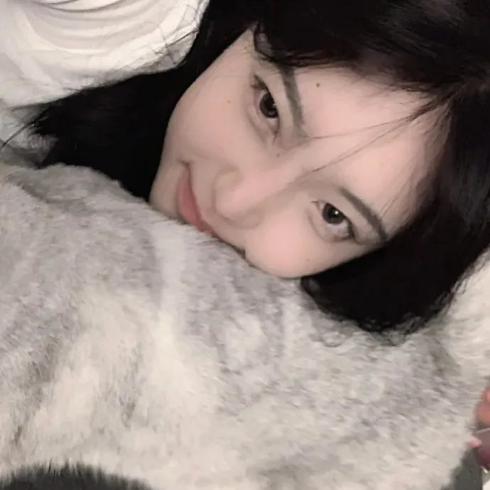 辛巴达历险